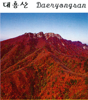 대룡산 ((Mt.)Daeryongsan )