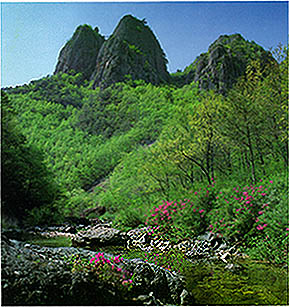 주왕산의 봄 ((Mt. )Juwangsan in the spring)