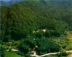 유명산 자연휴양림 ((Mt.)Yumyeongsan Recreational forest)