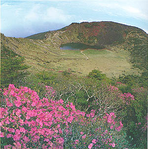 한라산 천연보호구역(Nature Reserve of (Mt.) Hallasan)