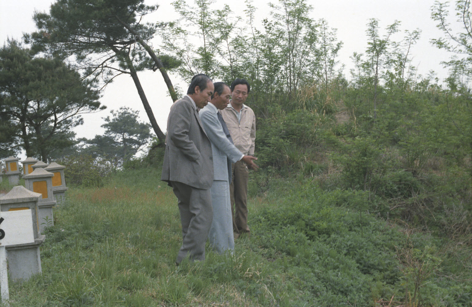 임성재 산림청장 보문단지 주변 특수조림지 시찰