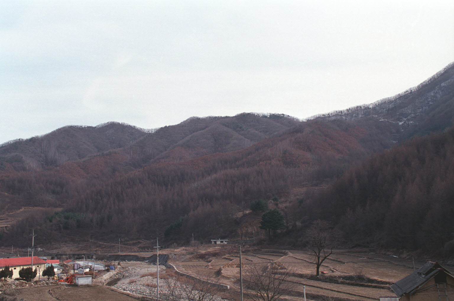 곽만섭 산림청장 서해개발 특수조림지 시찰