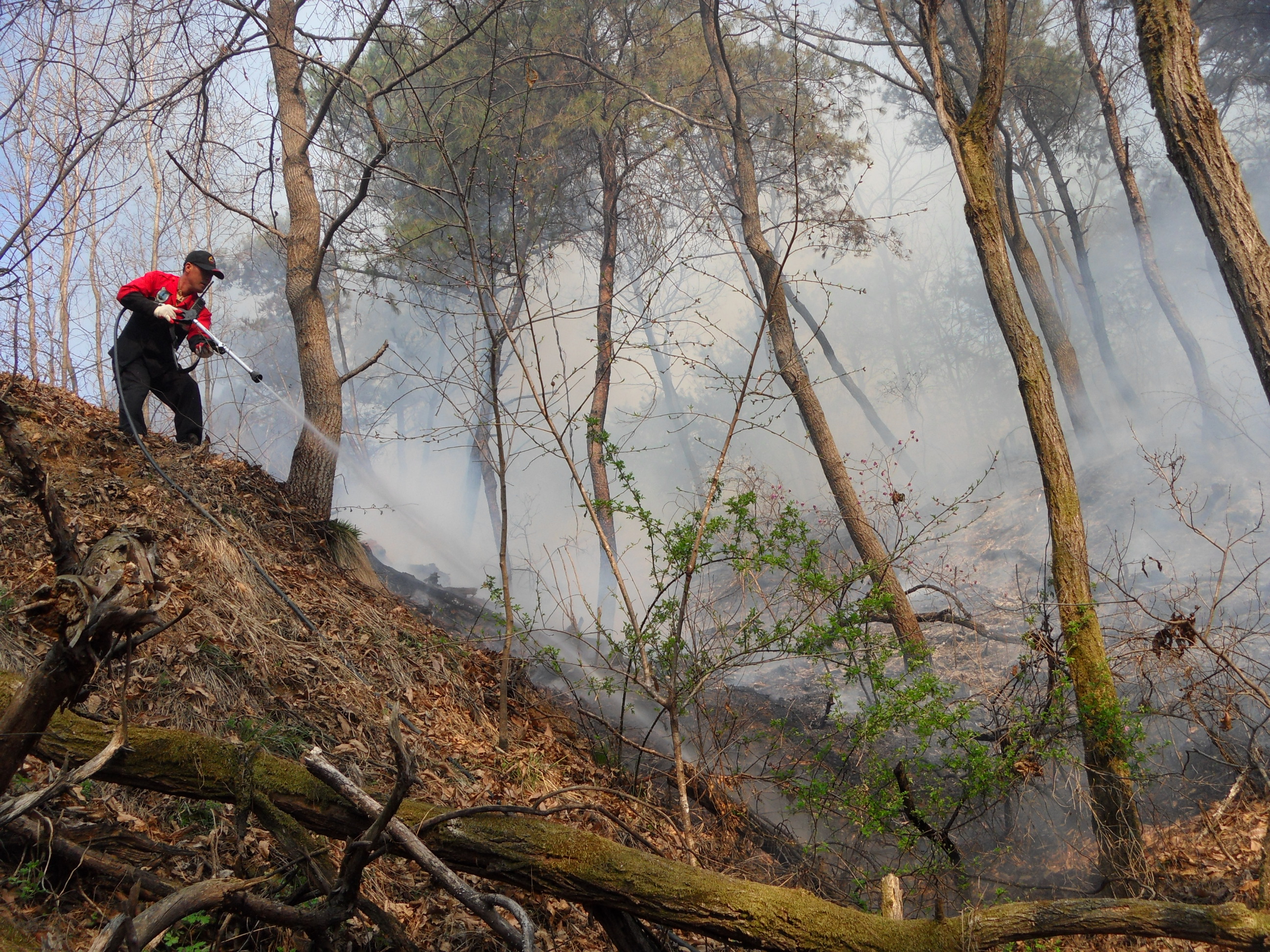 남부지방산림청, 소각산불 기동단속 실시 이미지2