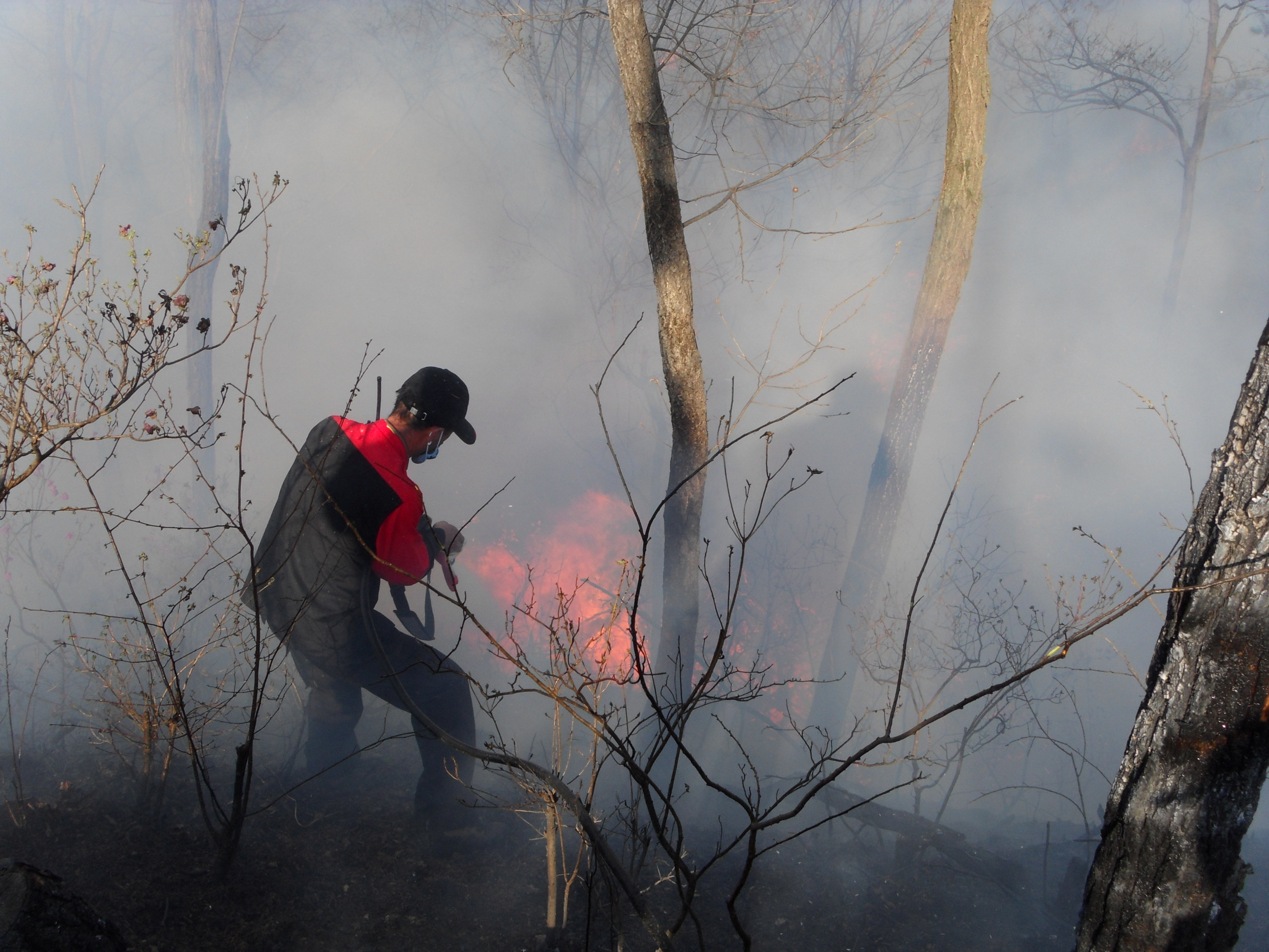 남부지방산림청, 소각산불 기동단속 실시 이미지3