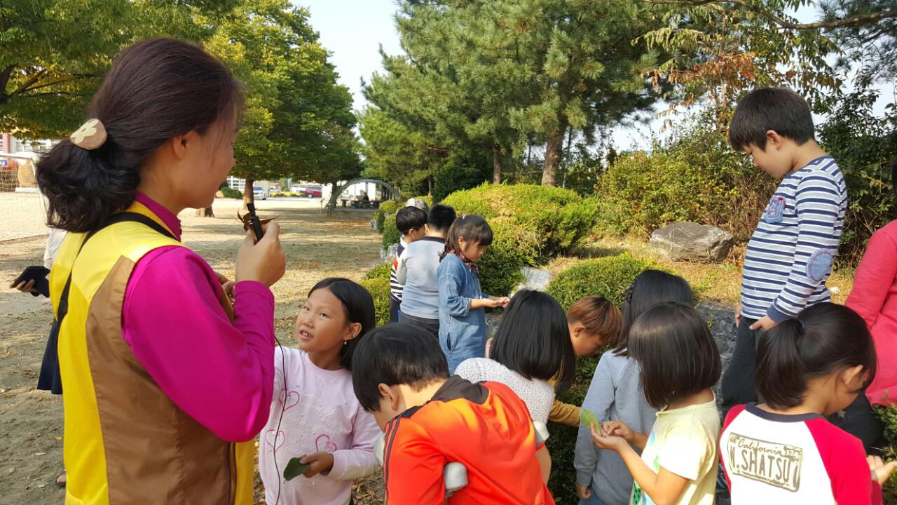 영주국유림관리소 방과 후 숲교실 참여 초등학교 모집 이미지2