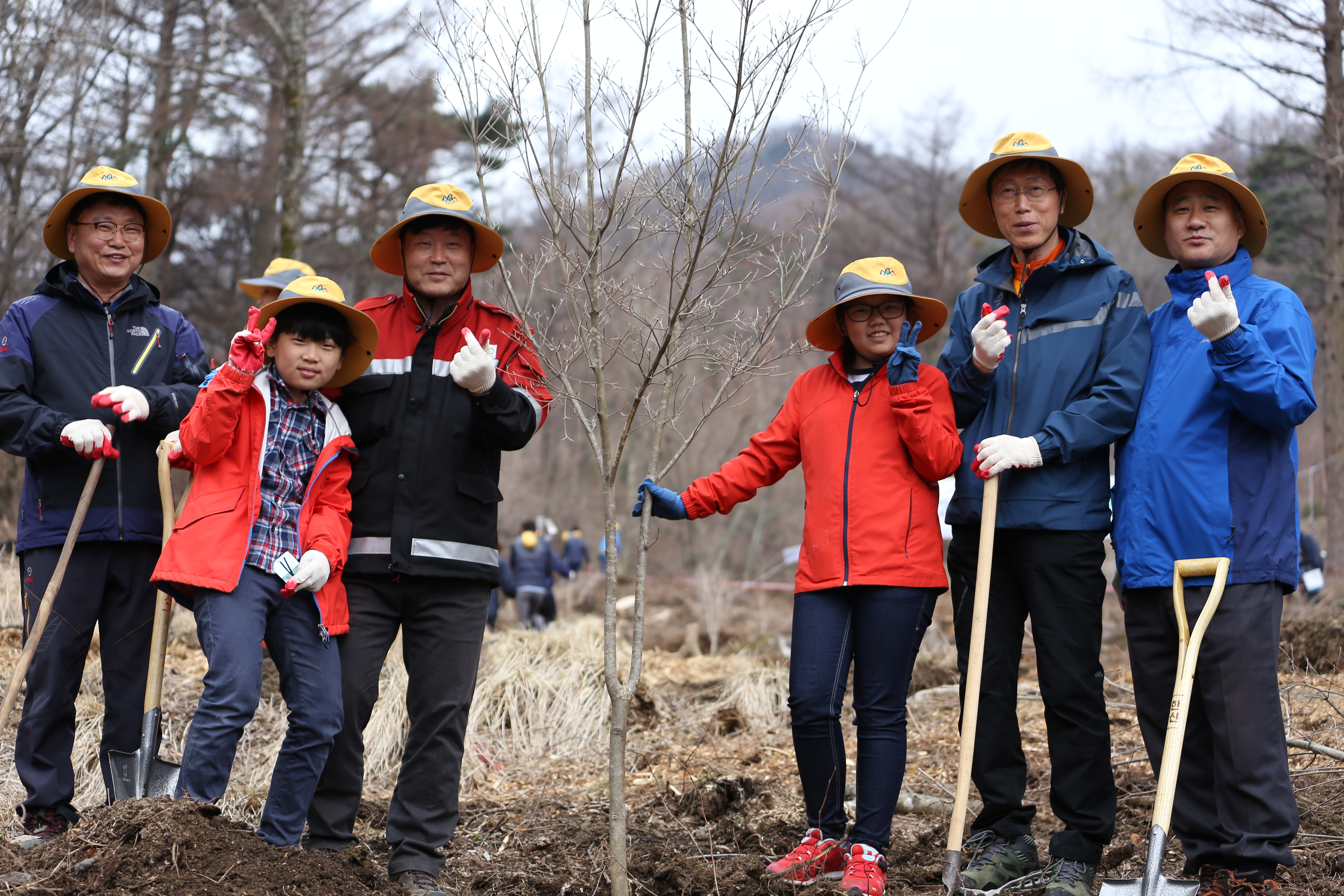 김천 단지봉에 산림 힐링의 나무를 심다! 이미지1