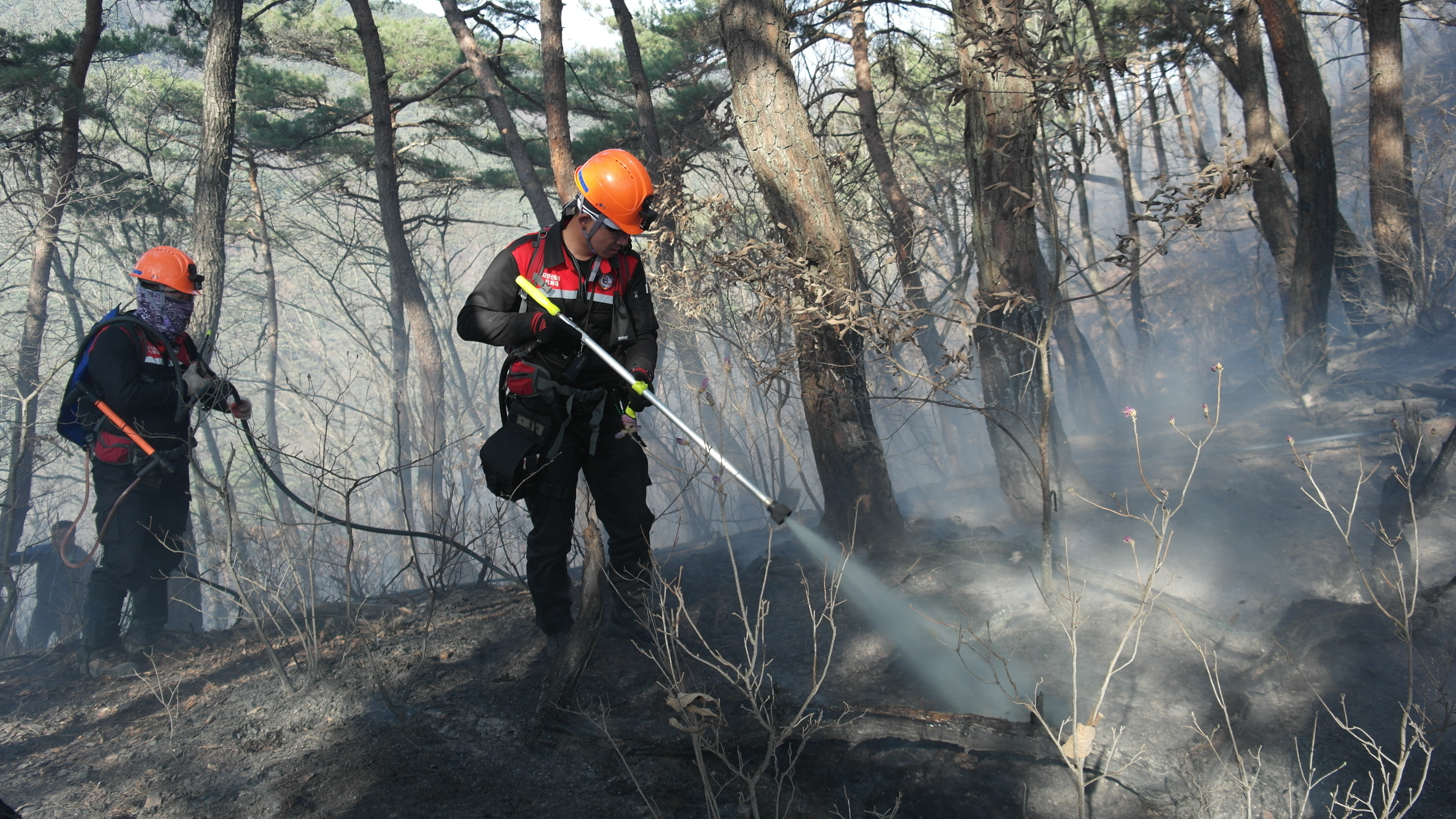남부지방산림청, 6월에도 산불대응 태세 유지 이미지1