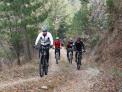 금강소나무숲길을 즐기는 산림청장배 산악자전거대회 개최
