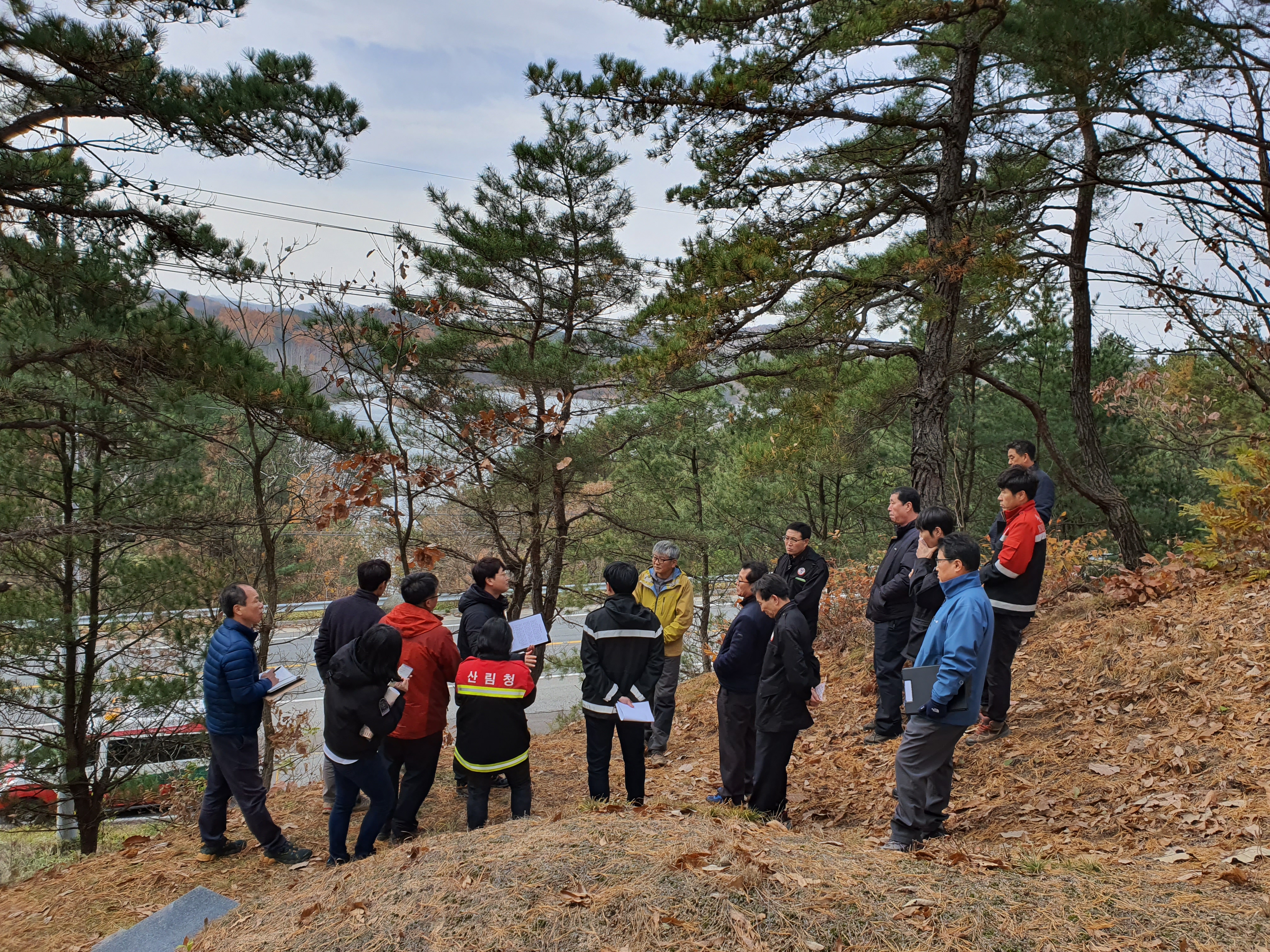 남부지방산림청, 소나무재선충병 방제 총력 대응 이미지2