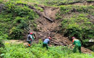 울진국유림관리소, 집중호우에 따른 산림사업장 일제 점검