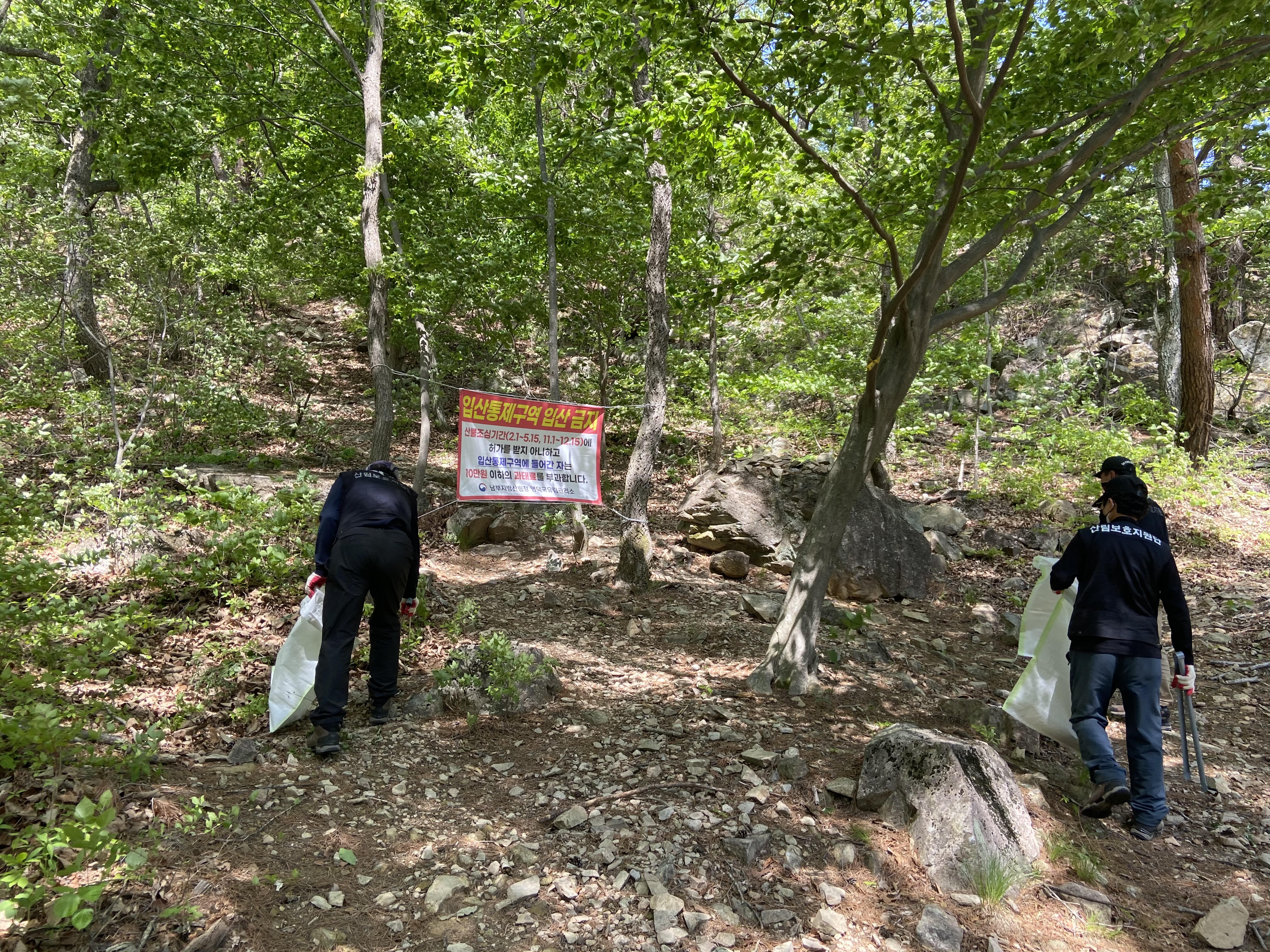 영덕국유림관리소, 봄철 산림 내 불법행위 단속 및 캠페인 실시 이미지1