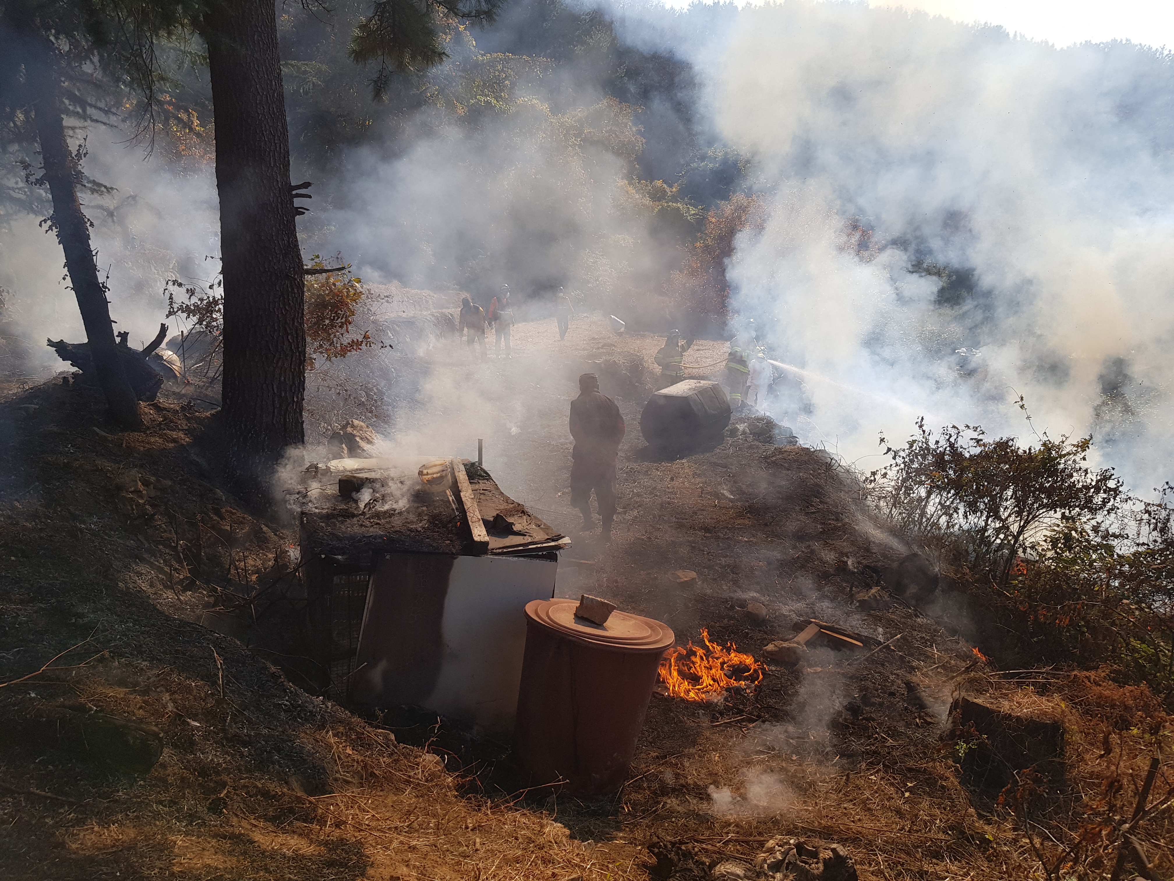 양산국유림관리소, 청명·한식 기간 불법 소각행위 강력단속 이미지1