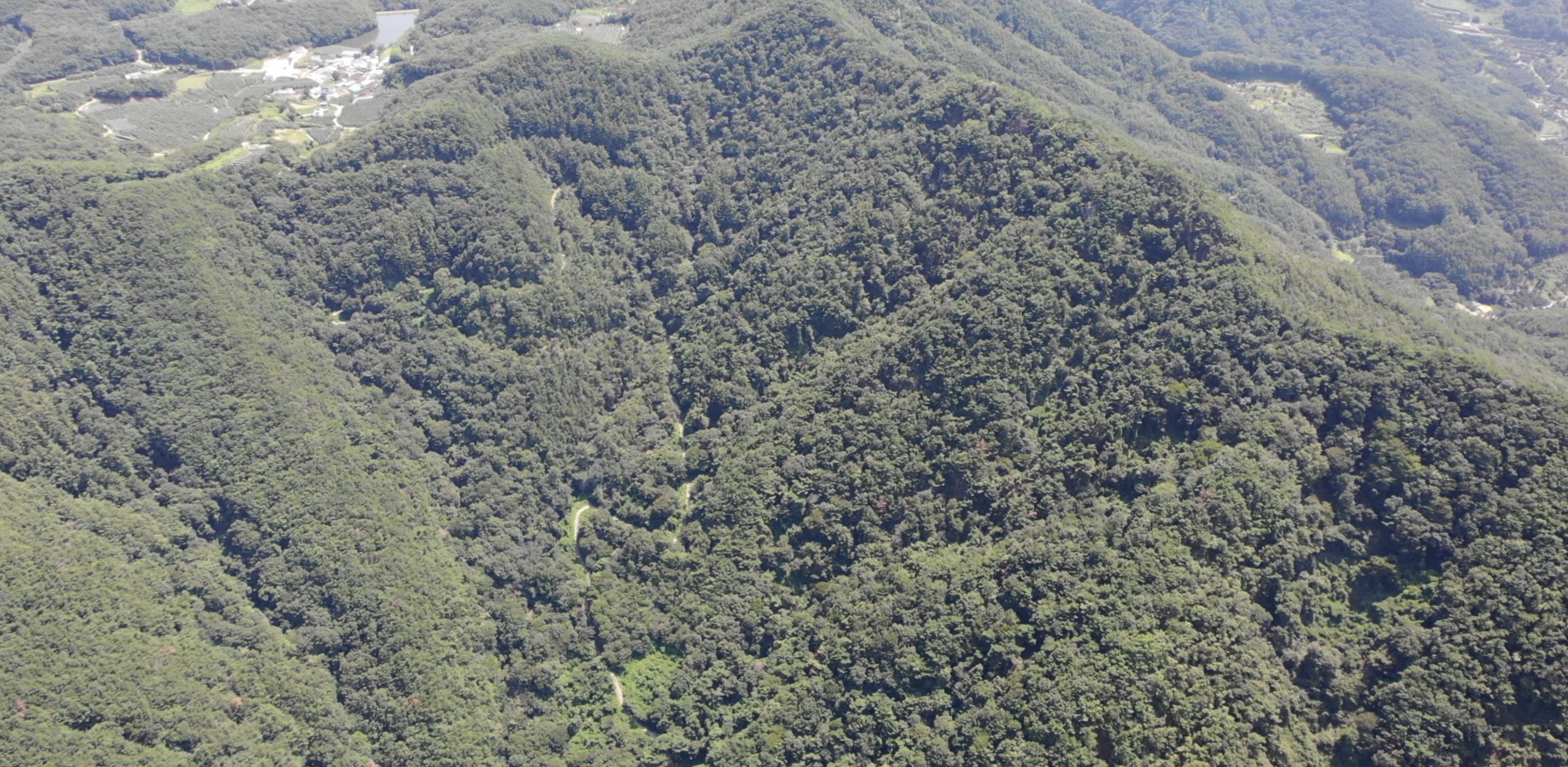 구미국유림관리소, 산지연금형 사유림 매수 개선 추진 이미지1