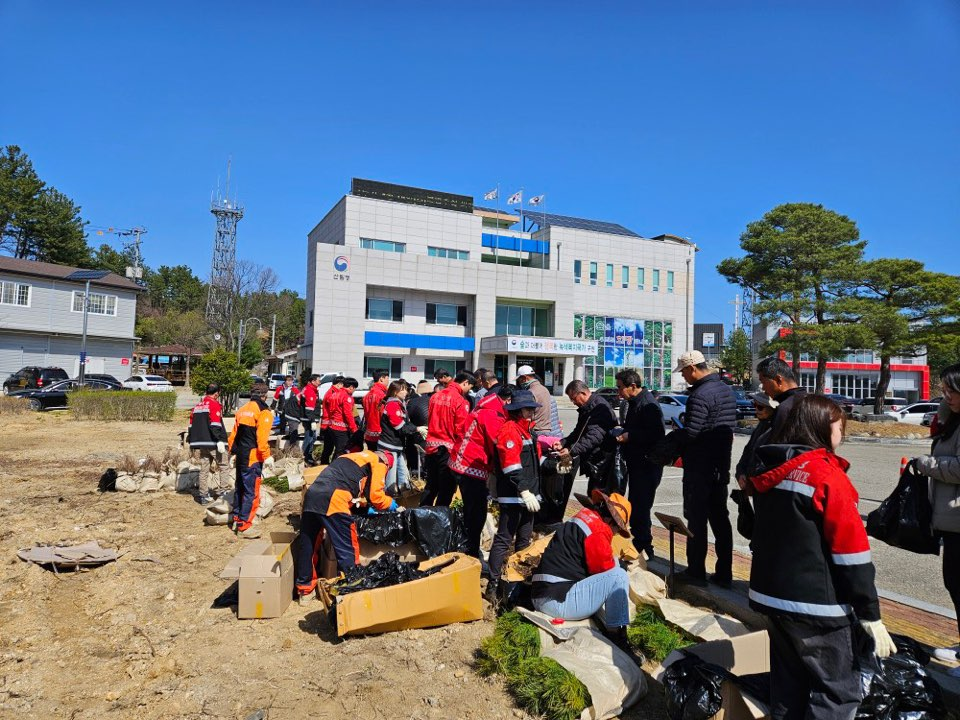 울진국유림관리소, 식목일 맞아 무료로 나무를 나누어 드립니다!