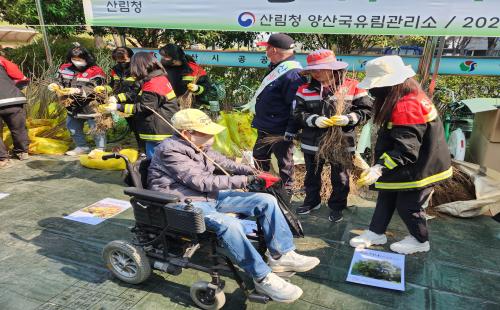 산림청 양산국유림관리소,제80회 식목일 기념 “내 나무 갖기” 캠페인 개...