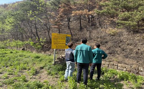 대형산불 피해지 산사태취약지역 점검- 영주국유림관리소, 2차 피해 예방·...