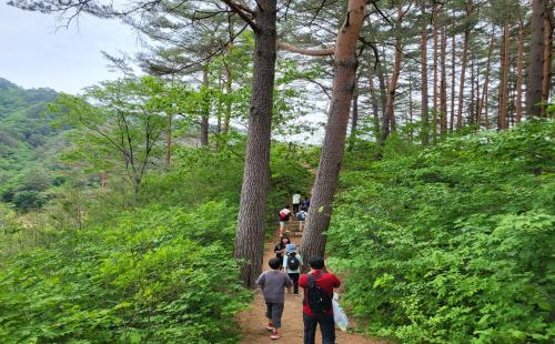 청정 울진금강소나무숲길로 놀러오세요!