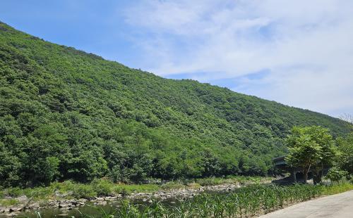 내 산 팔고, 10년간 산지연금 수령하자! - 산지연금형(분할지급형) 사...