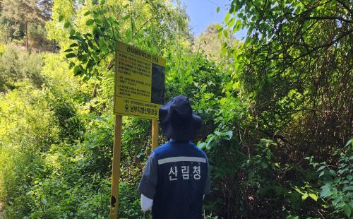 집중호우 및 장마 대비 산사태취약지역 집중점검- 영주국유림관리소, 장마 ...