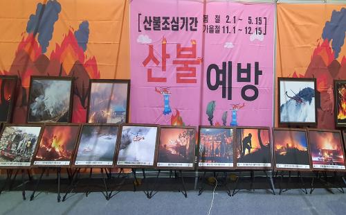 여름철 산불예방 홍보 및 목공예체험 부스 운영